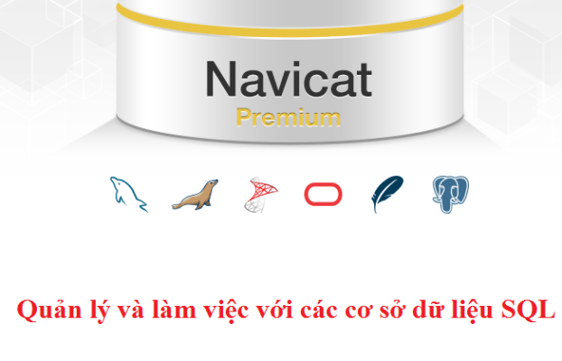 PremiumSoftNavicat